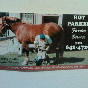 Meet your Posher, Roy